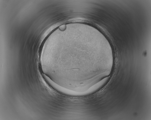 X0000115231418200912111019