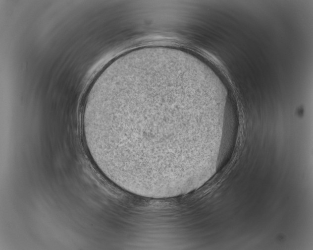 X0000115231419200912111019