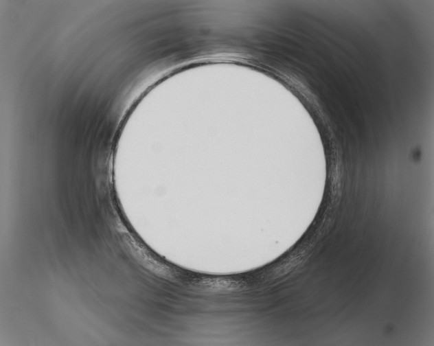 X0000115231420200912111019