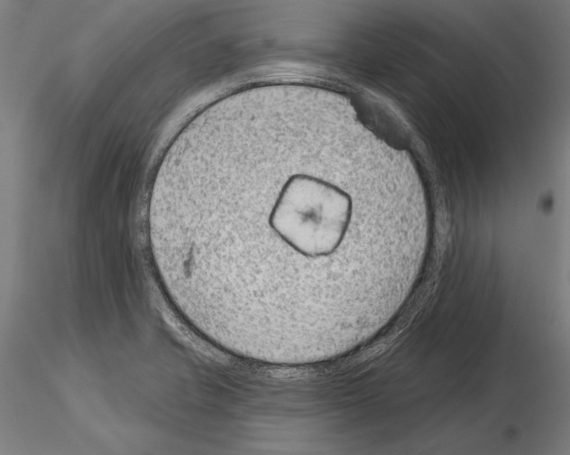 X0000115231421200912111019