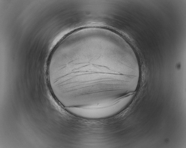 X0000115231422200912111019