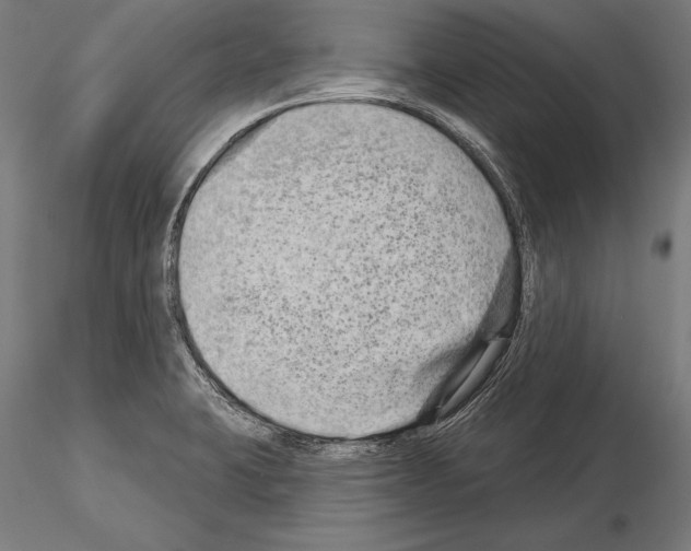 X0000115231423200912111019