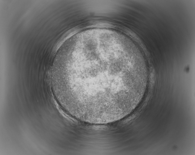 X0000115231425200912111019