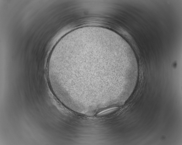 X0000115231427200912111019