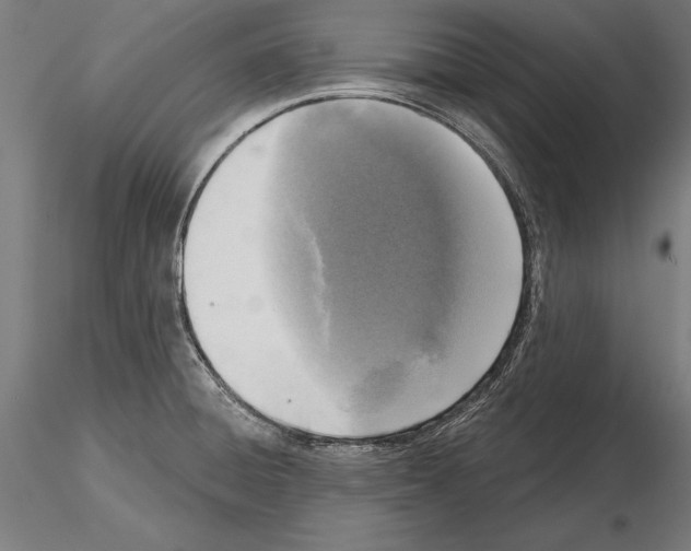 X0000115231428200912111019