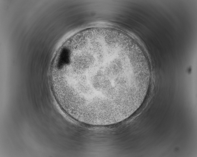 X0000115231429200912111019