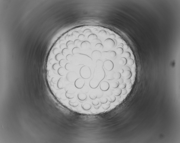 X0000115231432200912111019