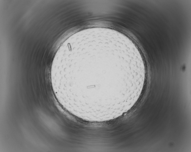 X0000115231433200912111019