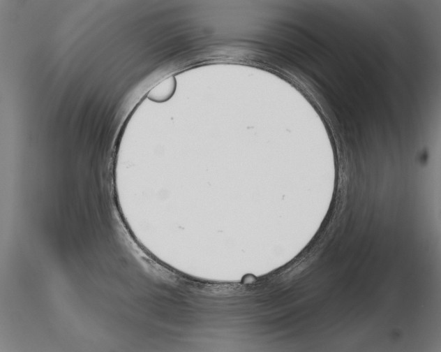 X0000115231434200912111019