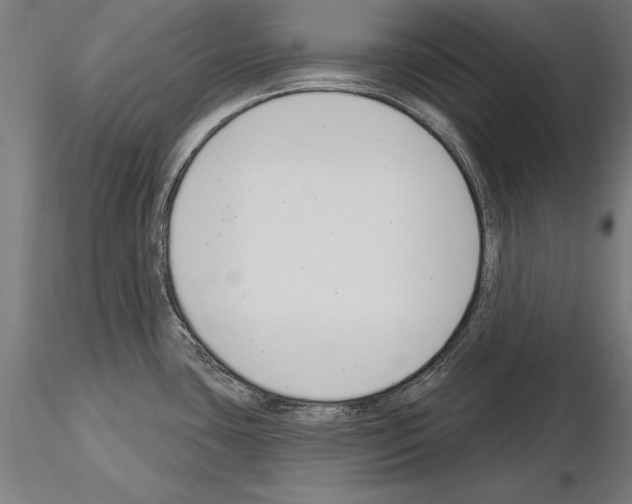 X0000115231435200912111019