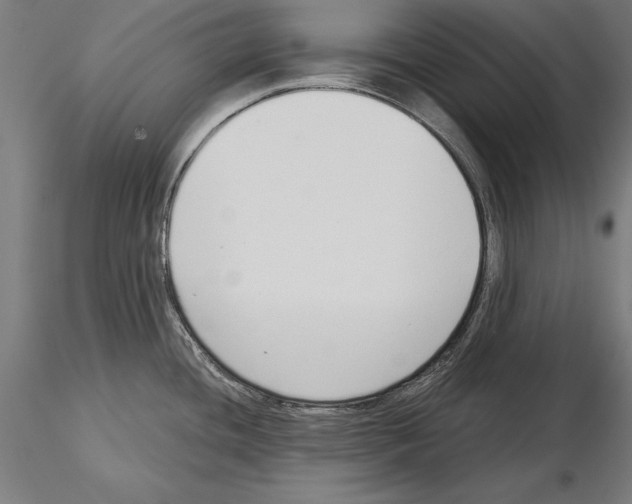 X0000115231436200912111019