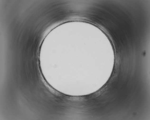 X0000115231437200912111019