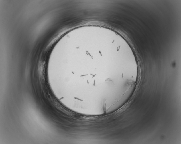 X0000115231438200912111019