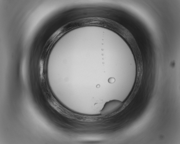 X0000115231439200912111020