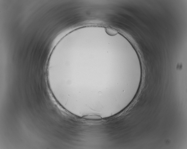 X0000115231440200912111020