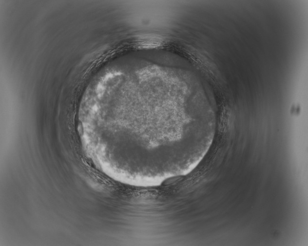 X0000115231441200912111019