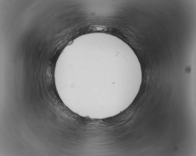 X0000115231442200912111019