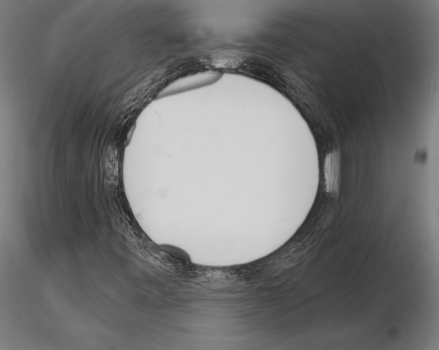 X0000115231443200912111019