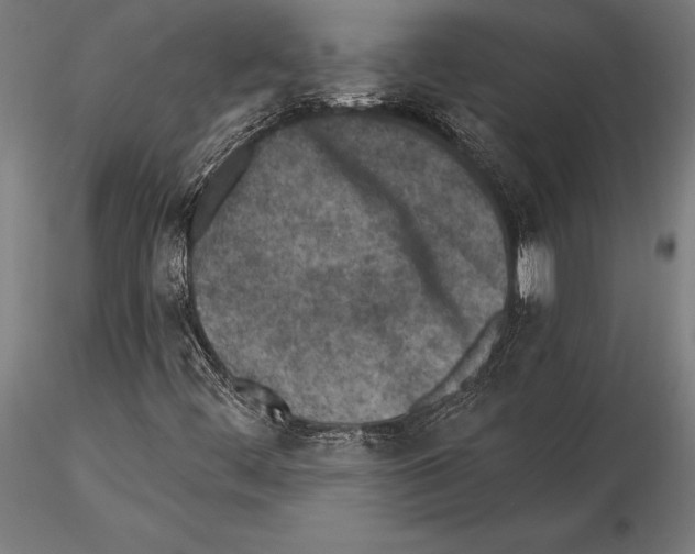 X0000115231444200912111019