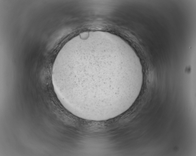 X0000115231446200912111019