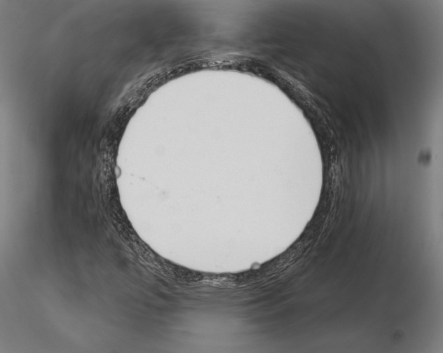 X0000115231447200912111019