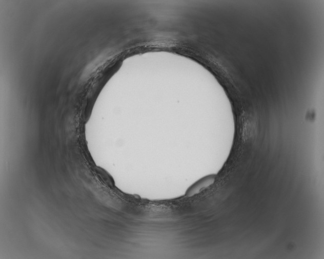 X0000115231448200912111019