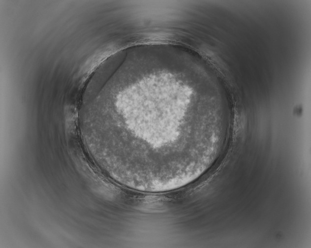 X0000115231449200912111019