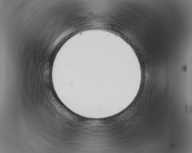 X0000115231450200912111019