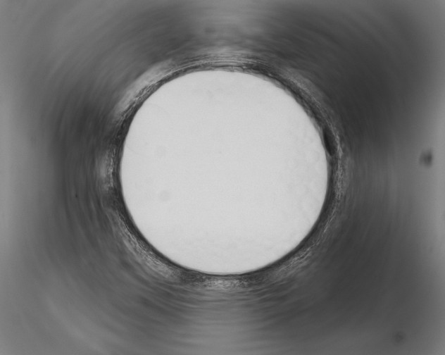 X0000115231451200912111019