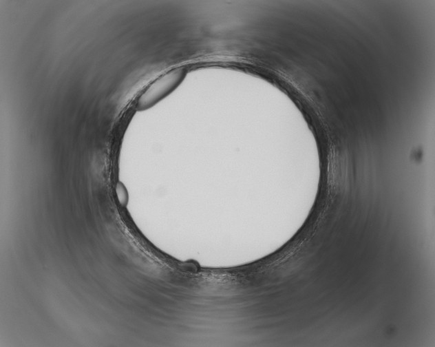 X0000115231452200912111019