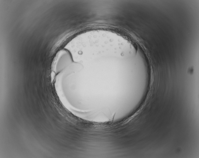 X0000115231453200912111019