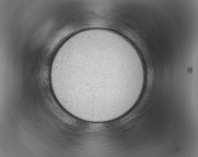 X0000115231454200912111019