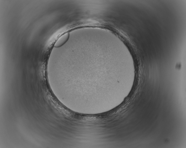 X0000115231455200912111019