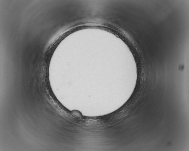 X0000115231456200912111019