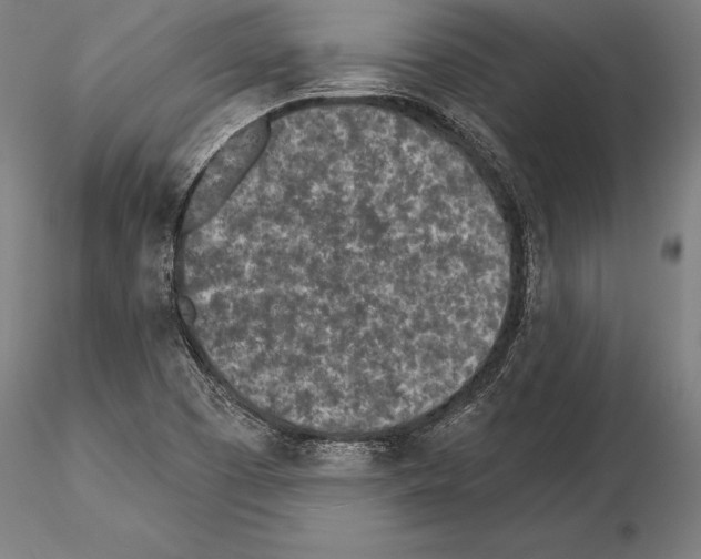 X0000115231457200912111019