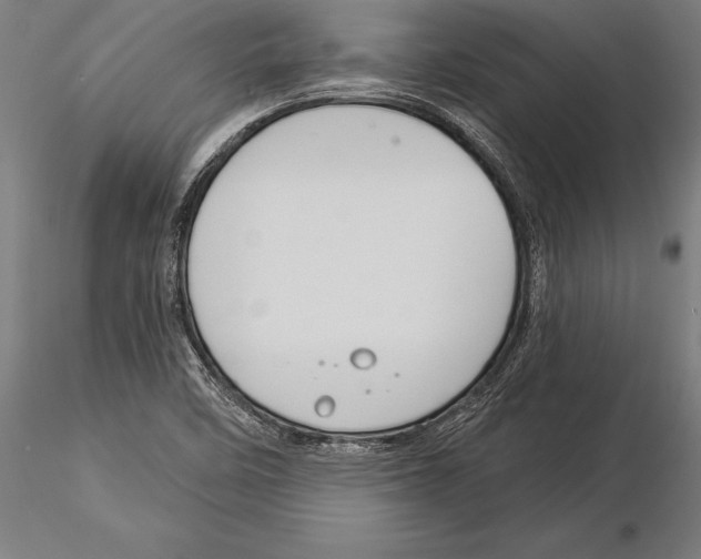 X0000115231458200912111019