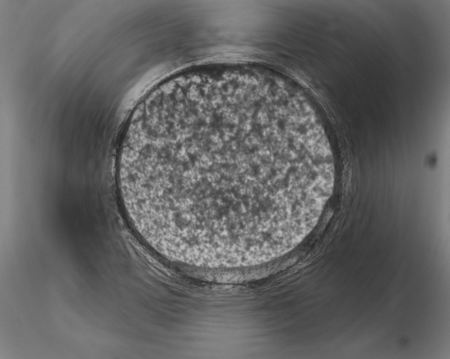 X0000115231459200912111019