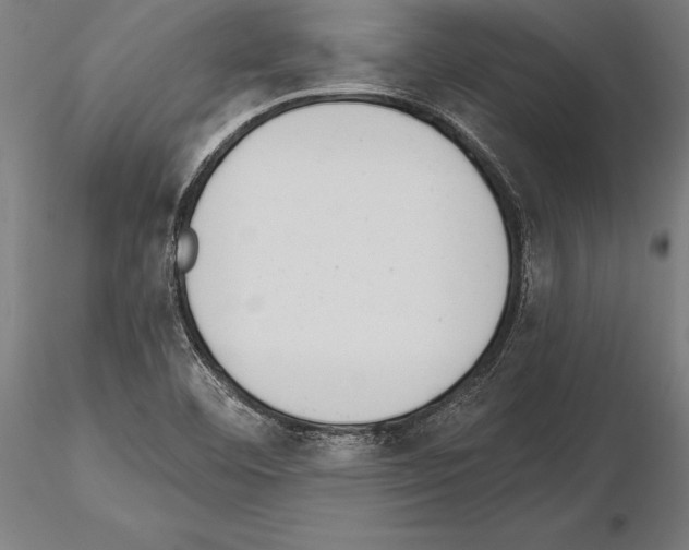 X0000115231460200912111019