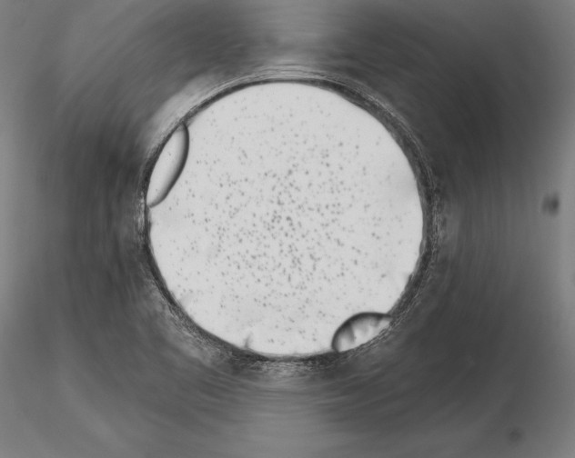 X0000115231461200912111019