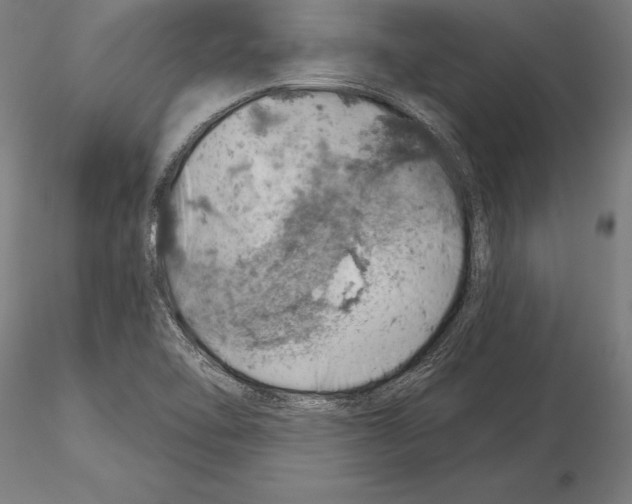 X0000115231462200912111019