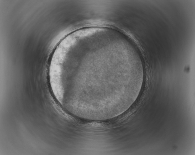 X0000115231463200912111019