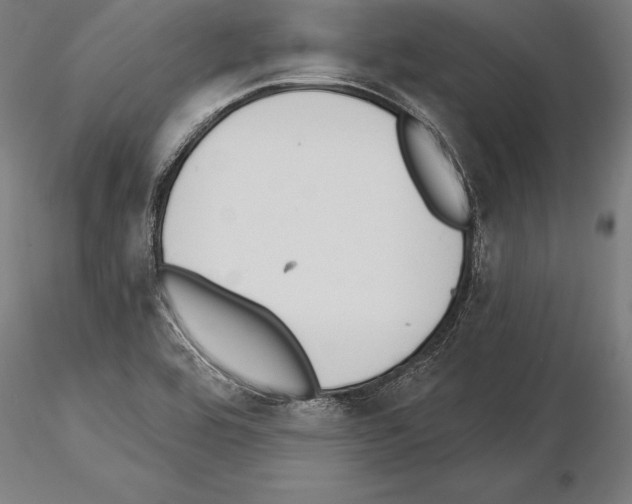 X0000115231464200912111019