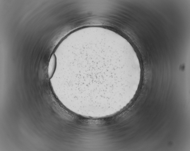 X0000115231465200912111019