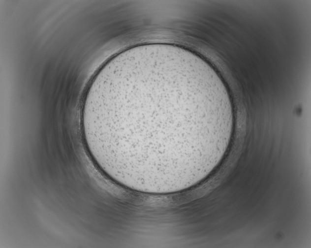 X0000115231466200912111019