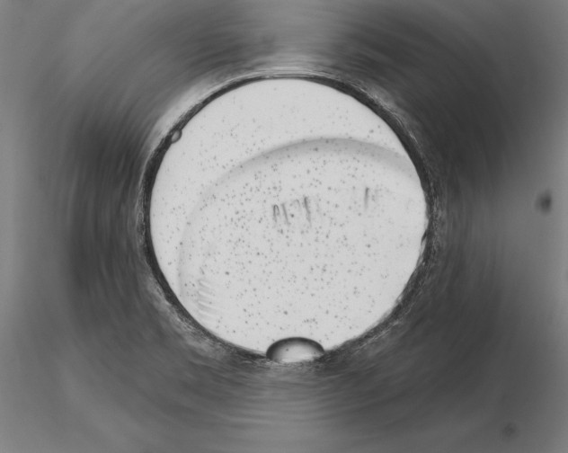 X0000115231469200912111018