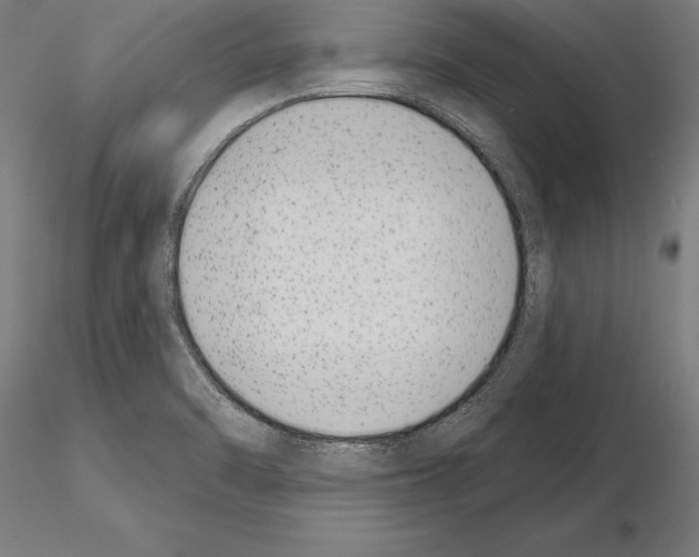 X0000115231470200912111018