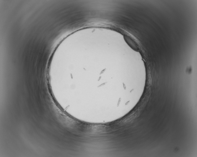 X0000115231471200912111018