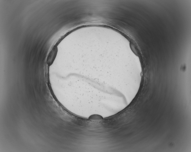 X0000115231472200912111018