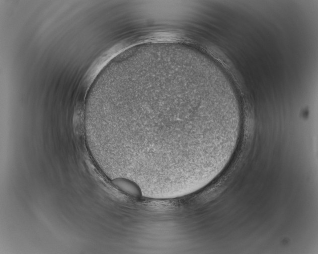 X0000115231473200912111018