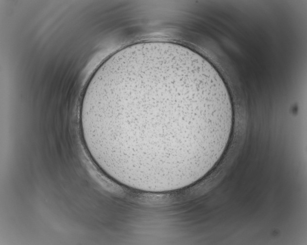 X0000115231474200912111018